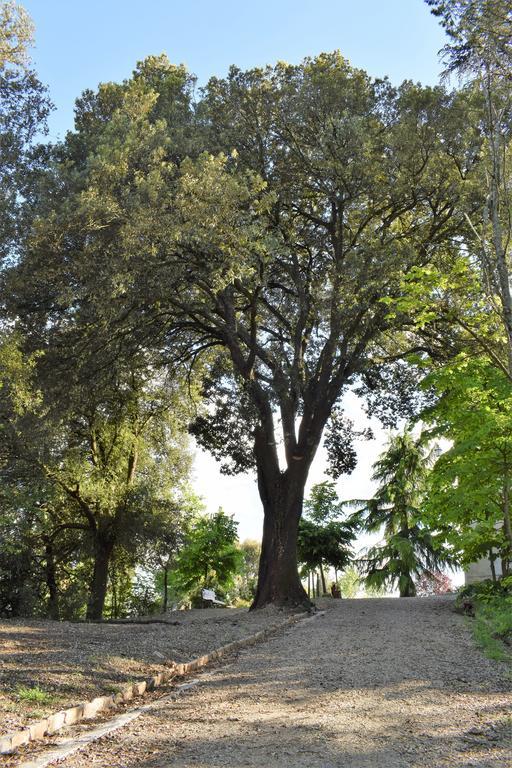"Villa Bizzi" Monte Castelli Exterior foto